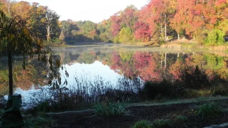 Oct 7, 10am ~ Bryan Park Hike
