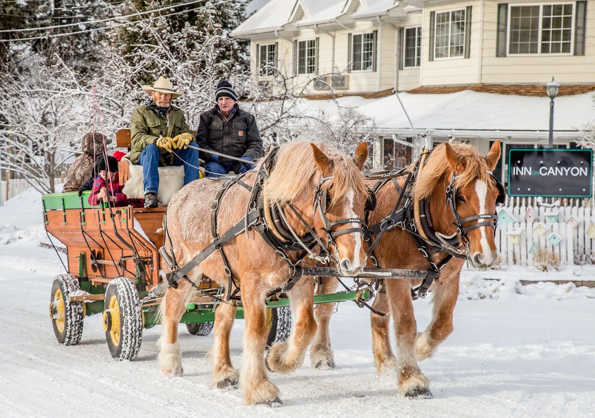 Village Sleigh Rides