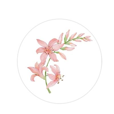 Freesia Creative