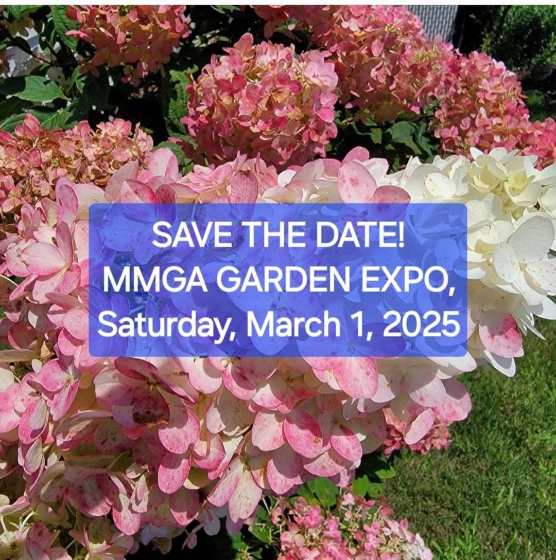 Garden Expo 2025