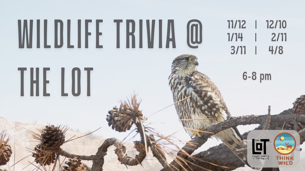 Wildlife Trivia at The Lot