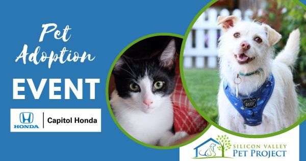 Pet Adoption Event - Meet & Greet!