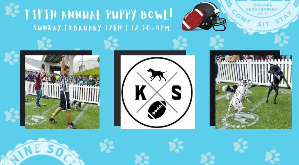 Fifth Annual Puppy Bowl!