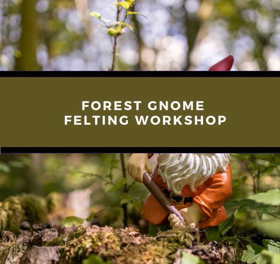 Forest Gnomes Needle Felting Workshop