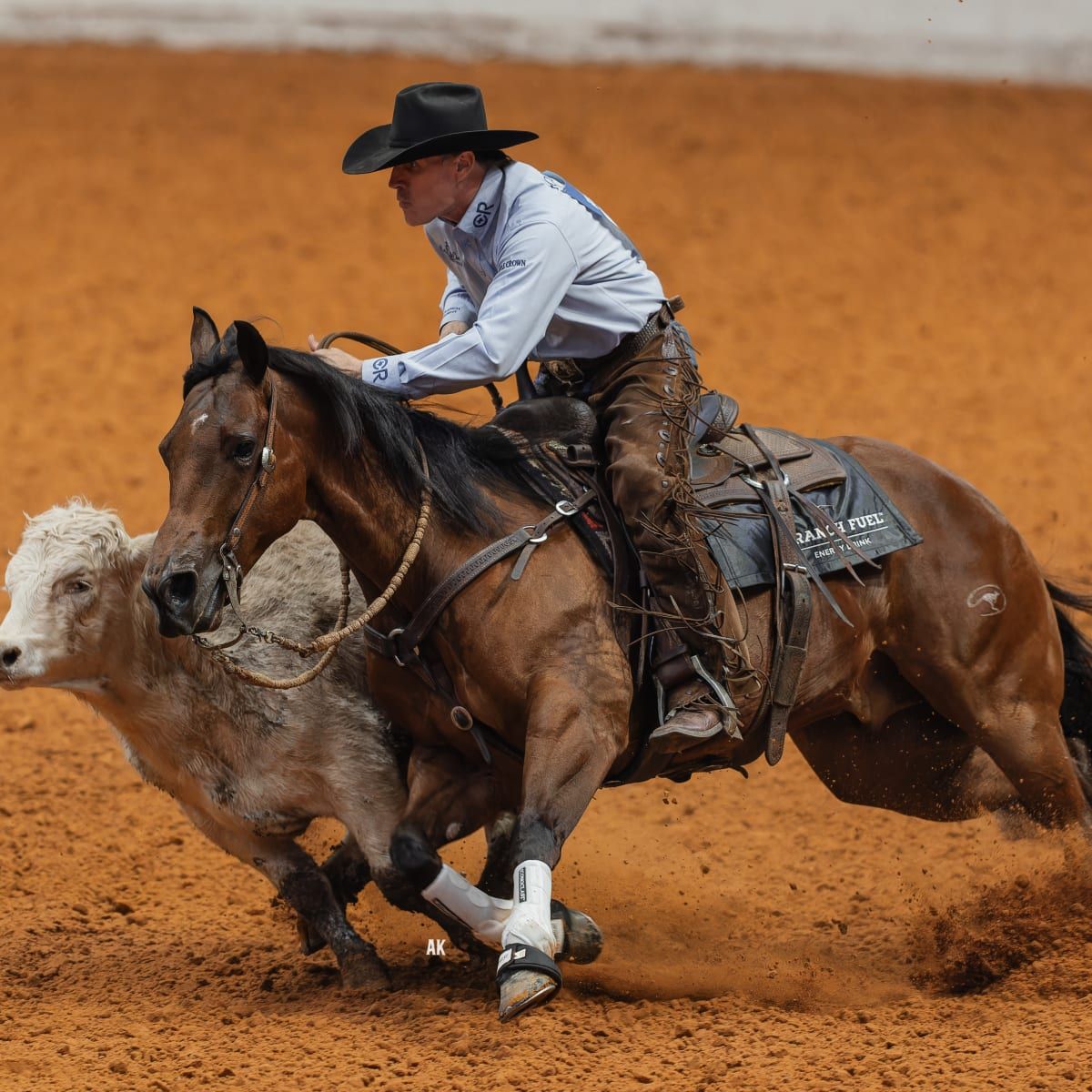 AUSTRALIAS GREATEST HORSEMAN SHOW