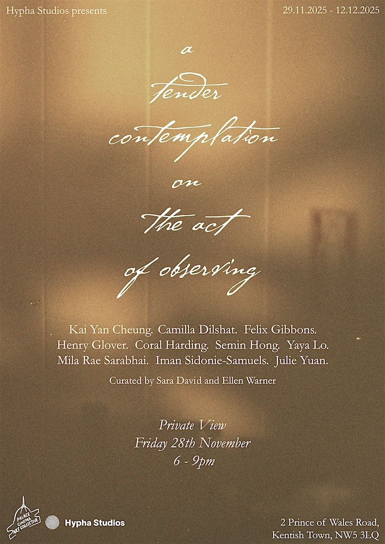 Private View: A tender contemplation on the act of observing