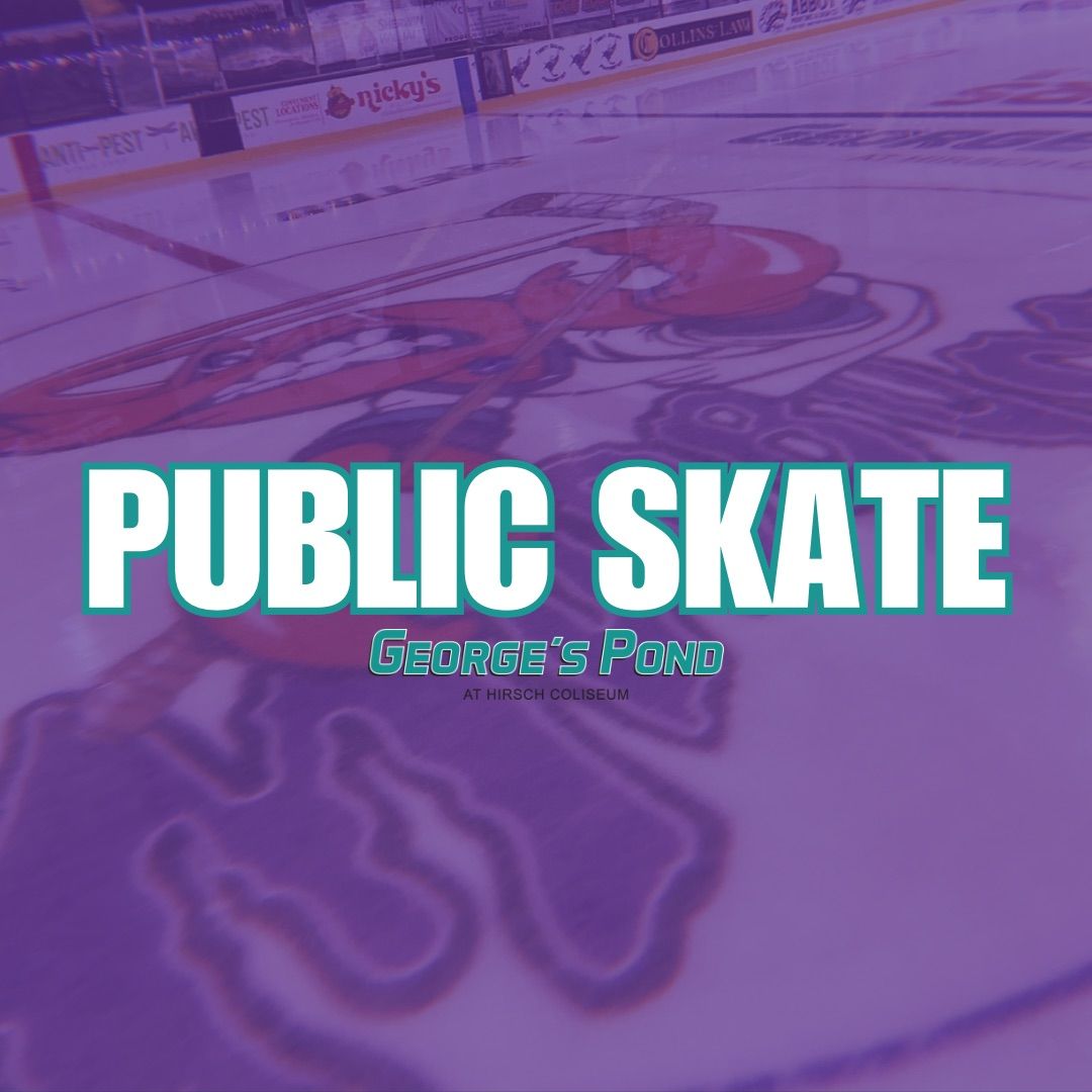 Public Skate