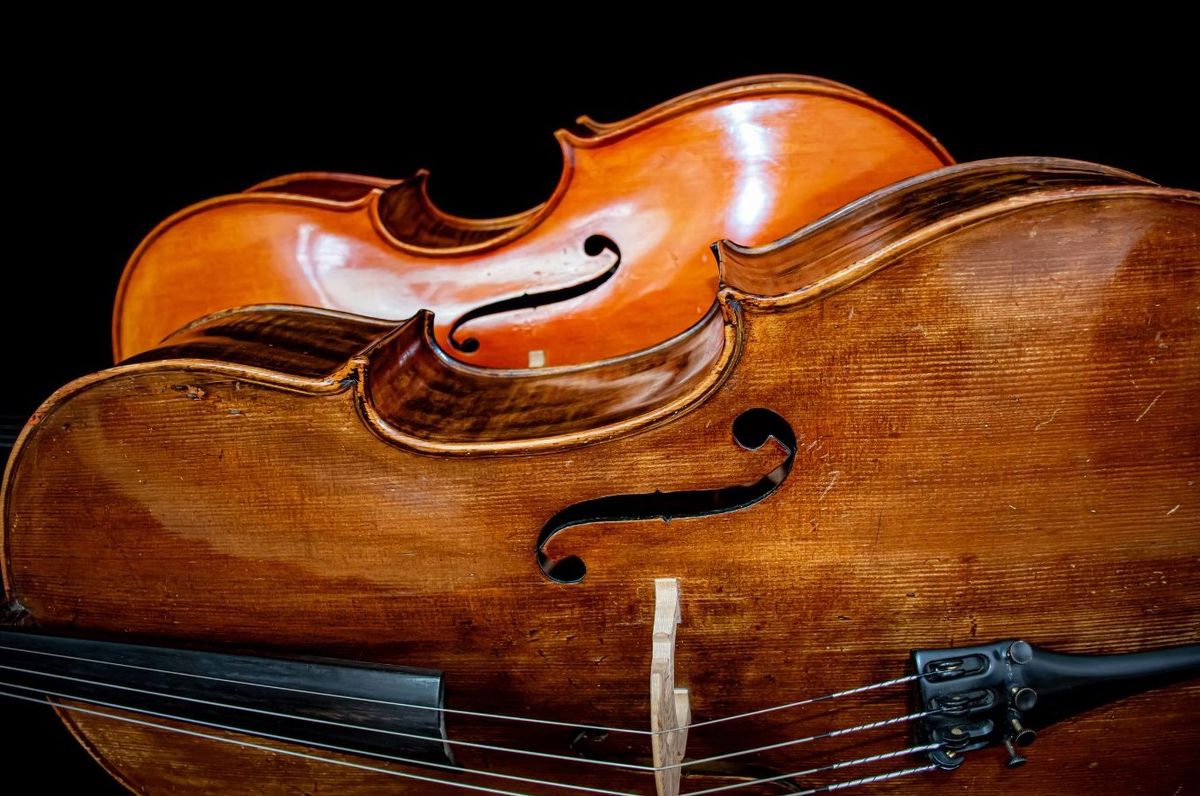 Jacksonville Cello Workshop