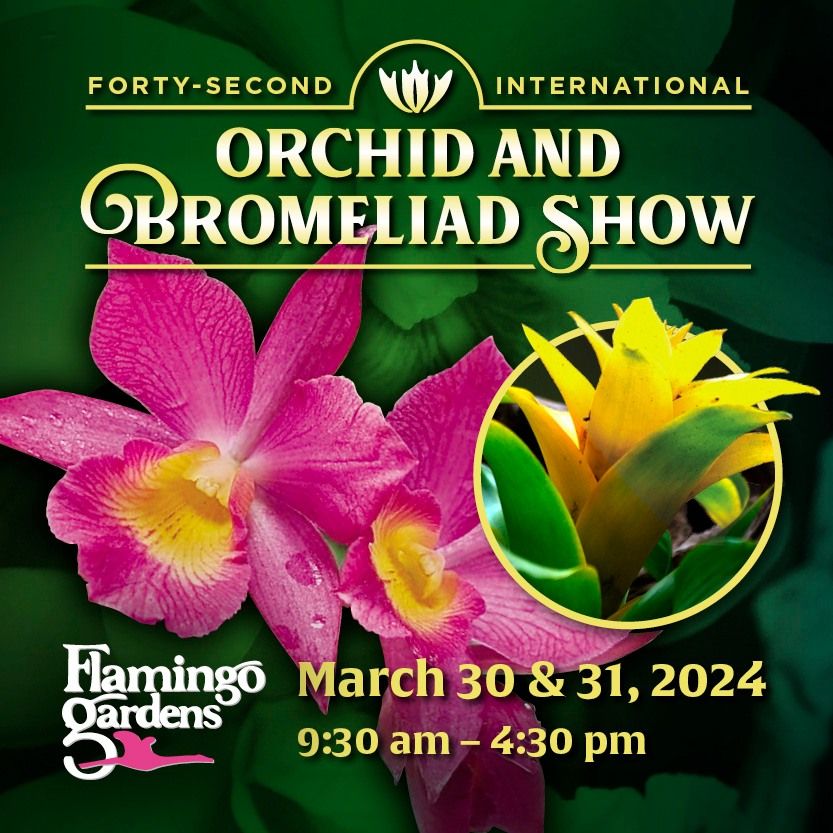 42nd International Orchid & Bromeliad Show at Flamingo Gardens