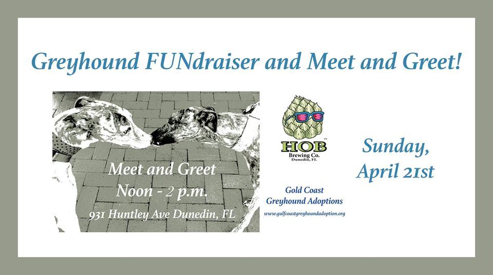 Greyhound FUNdraiser and Meet and Greet!