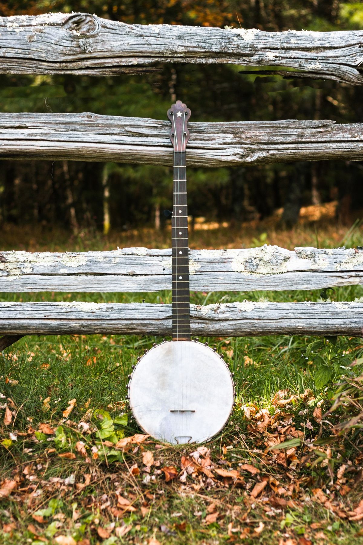 Introduction to Clawhammer Banjo (8 sessions)