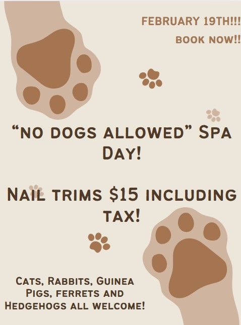 NO DOGS ALLOWED SPA DAY!