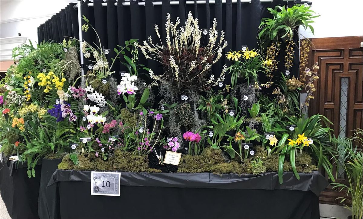 Tampa Bay Orchid Society 2025 Show