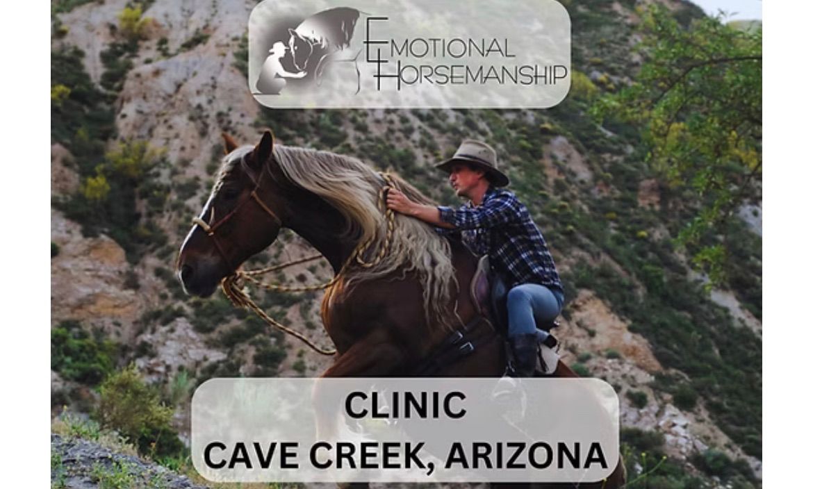 Emotional Horsemanship Clinic 