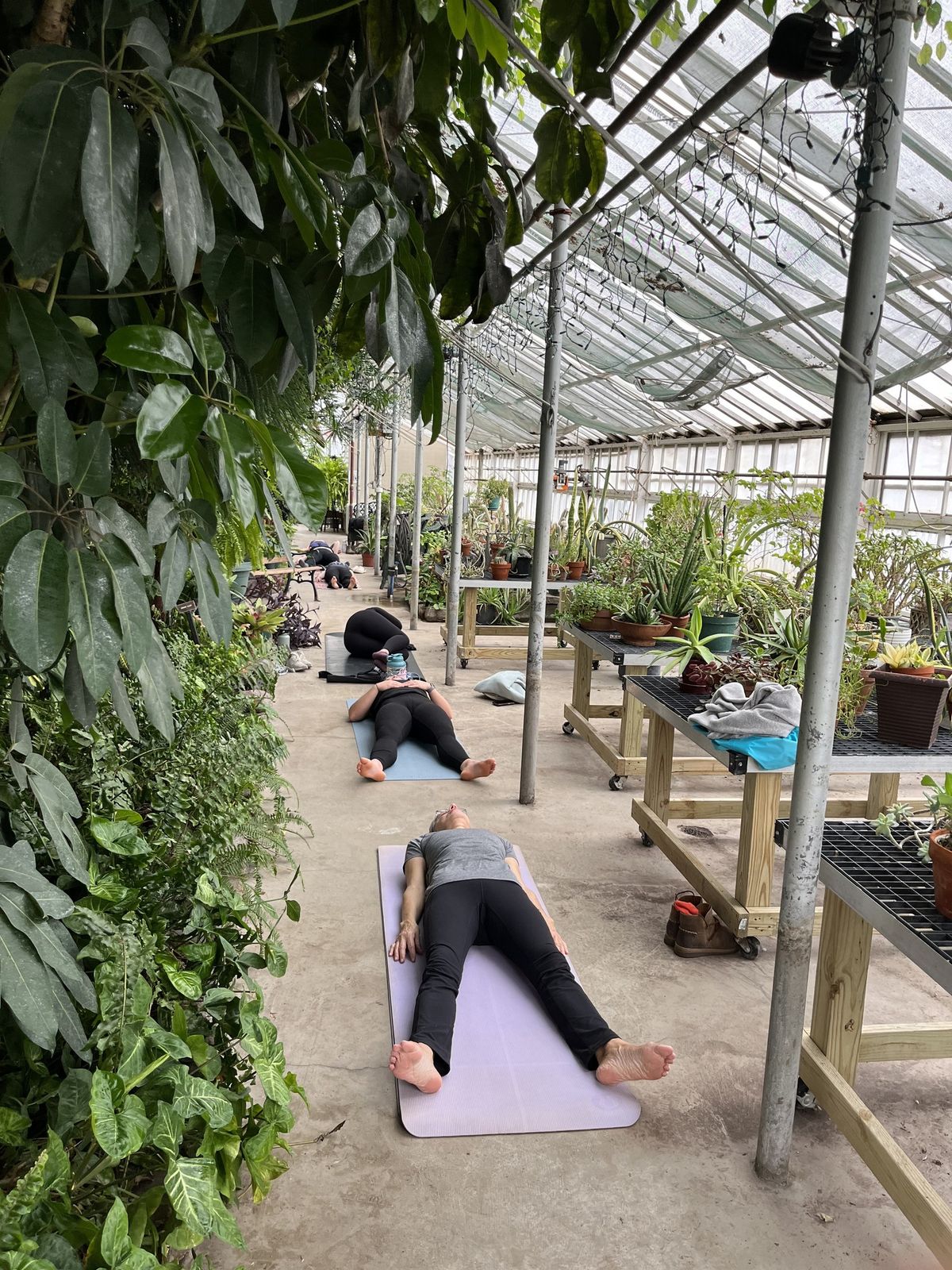 Greenhouse Yoga 2025