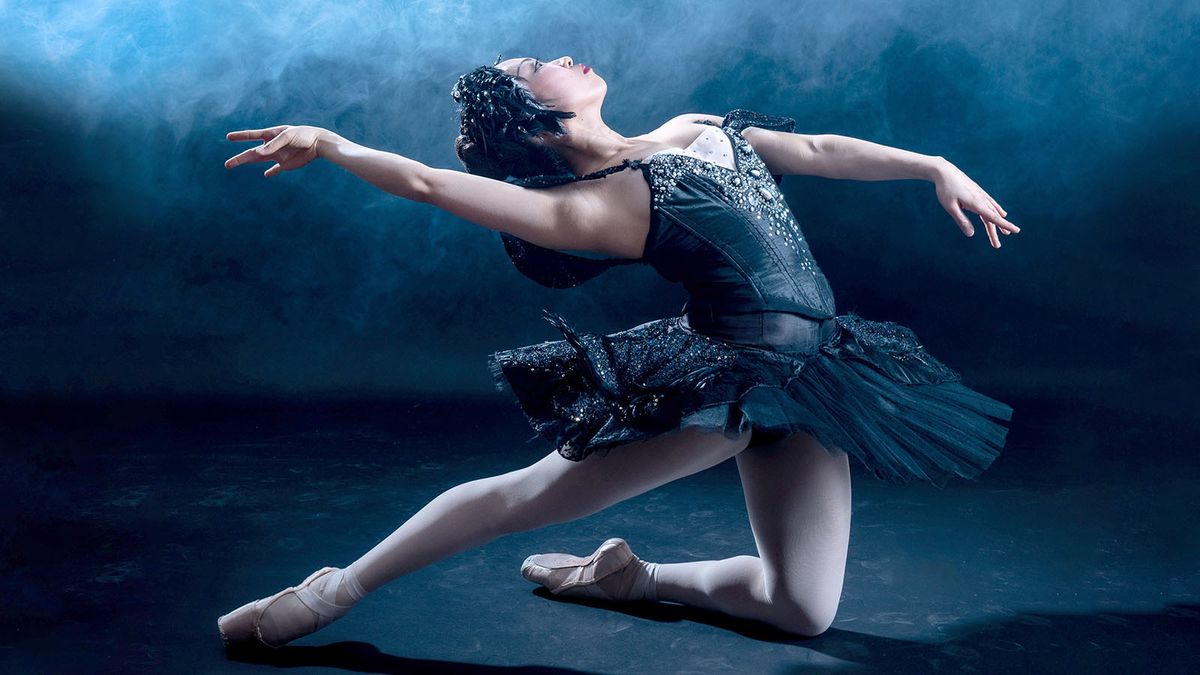 Swan Lake - Fort Wayne