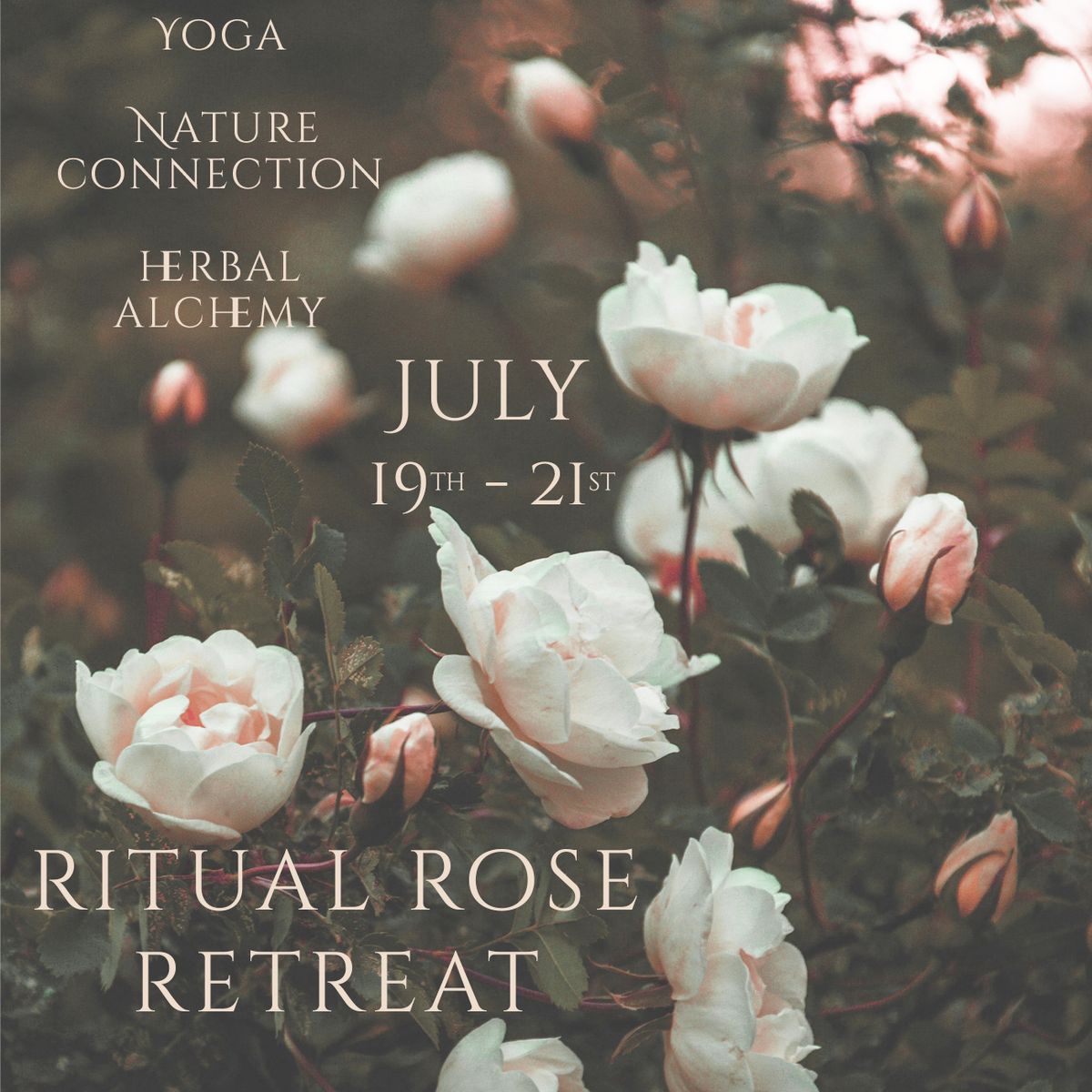 Ritual Rose Retreat