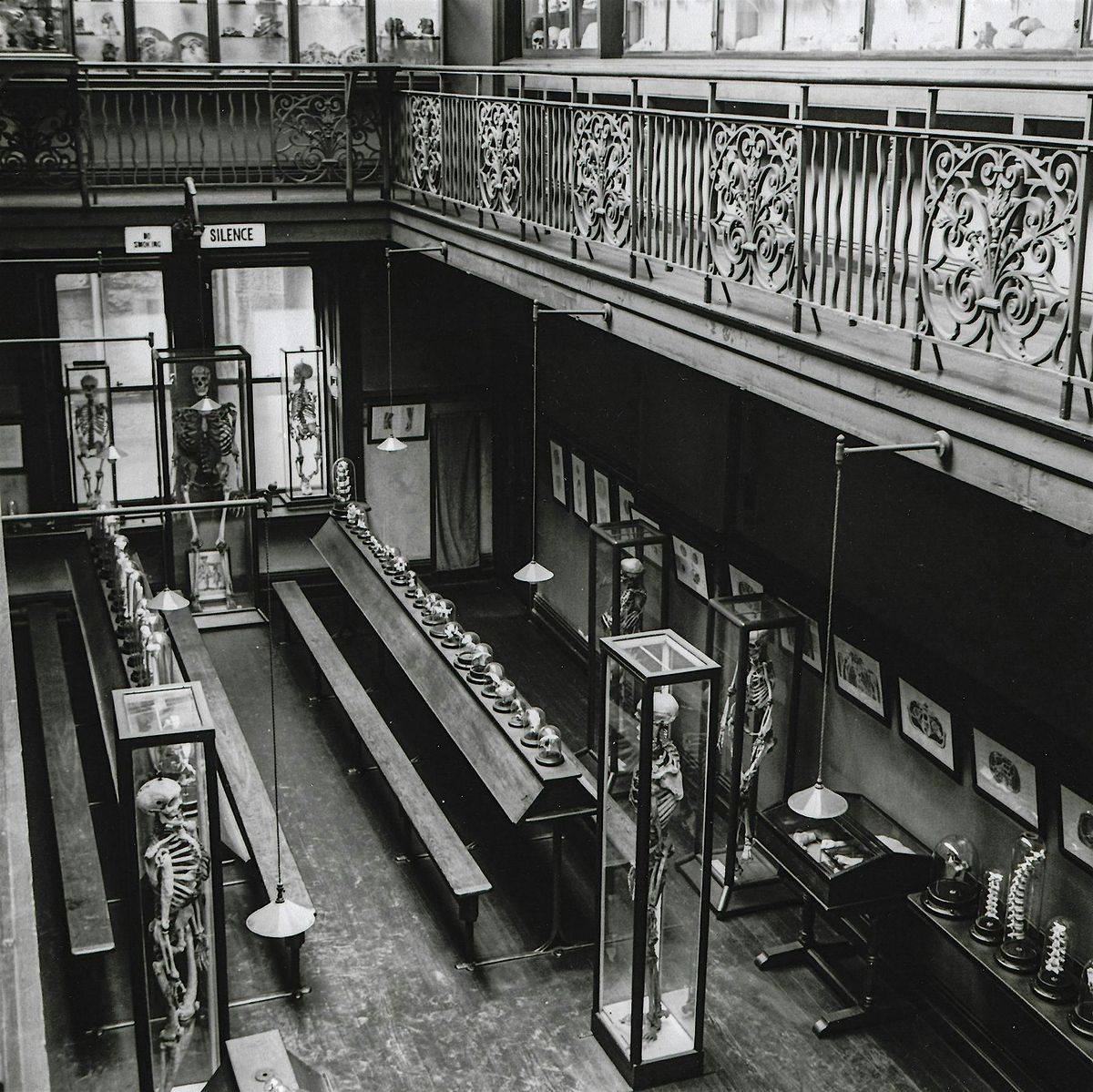 Silent Teachers to All: Opening the Doors of a Medical Museum (TCD)