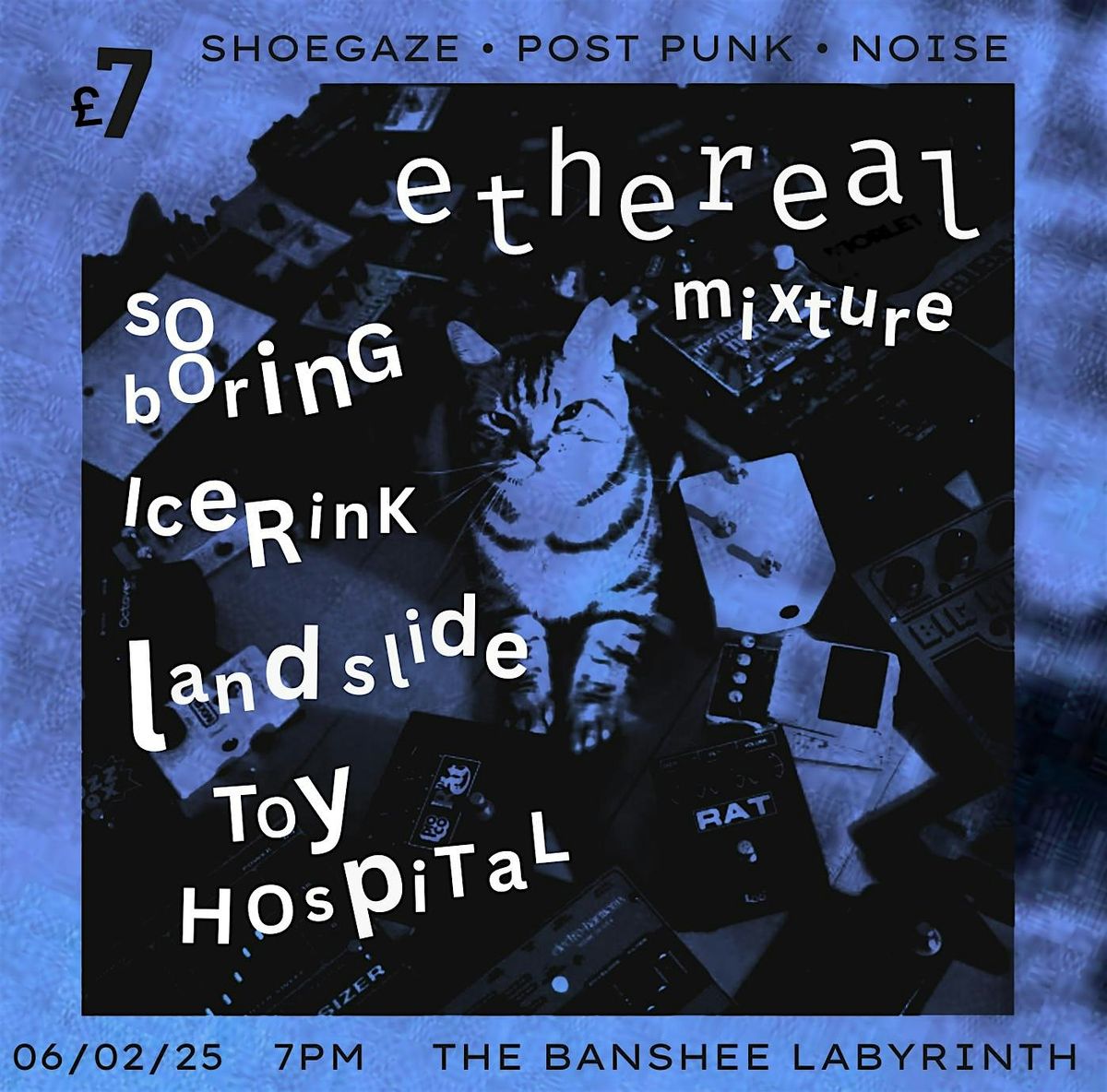 TFZ: ETHEREAL MIXTURE , a night of Scottish shoegaze + noise!