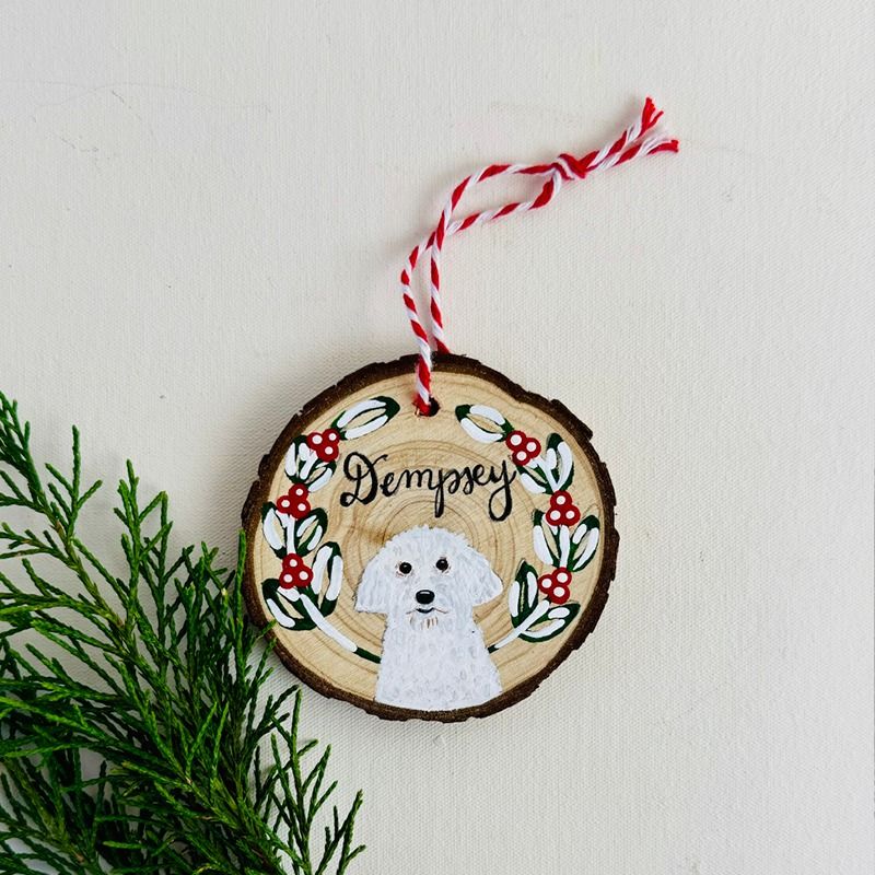 Paint Your Pet Ornament