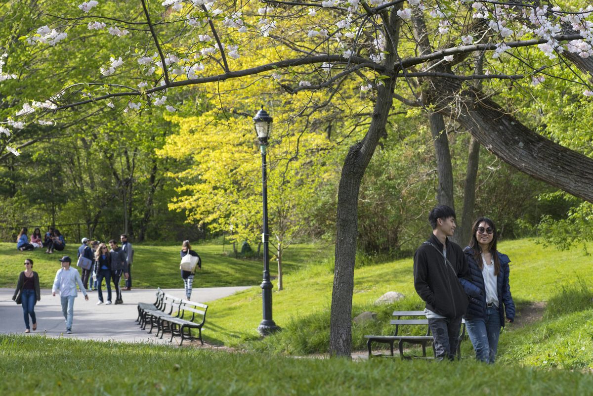 Prospect Park Wellness Walk