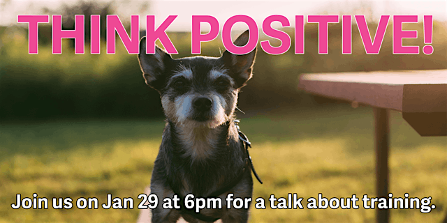 Think Positive:  A Scientific Approach to Dog Training