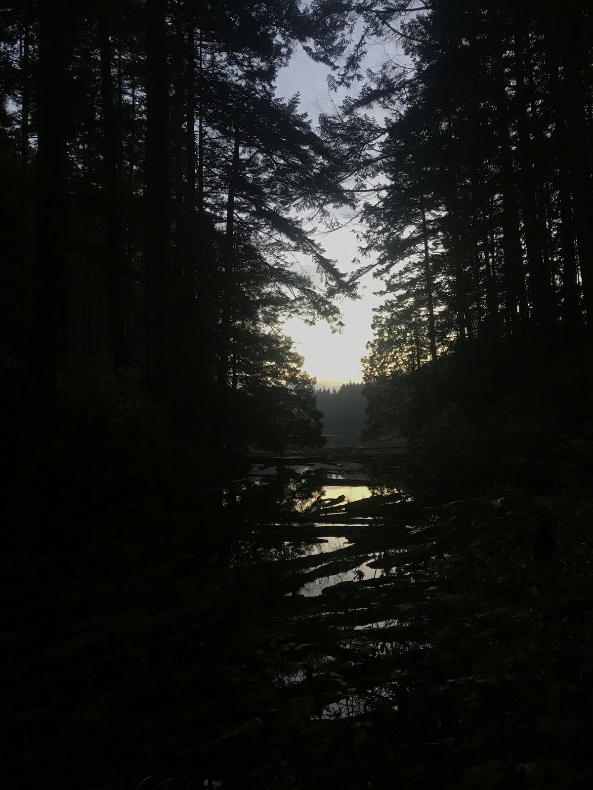 Halloween Night Hike! (Early Option)