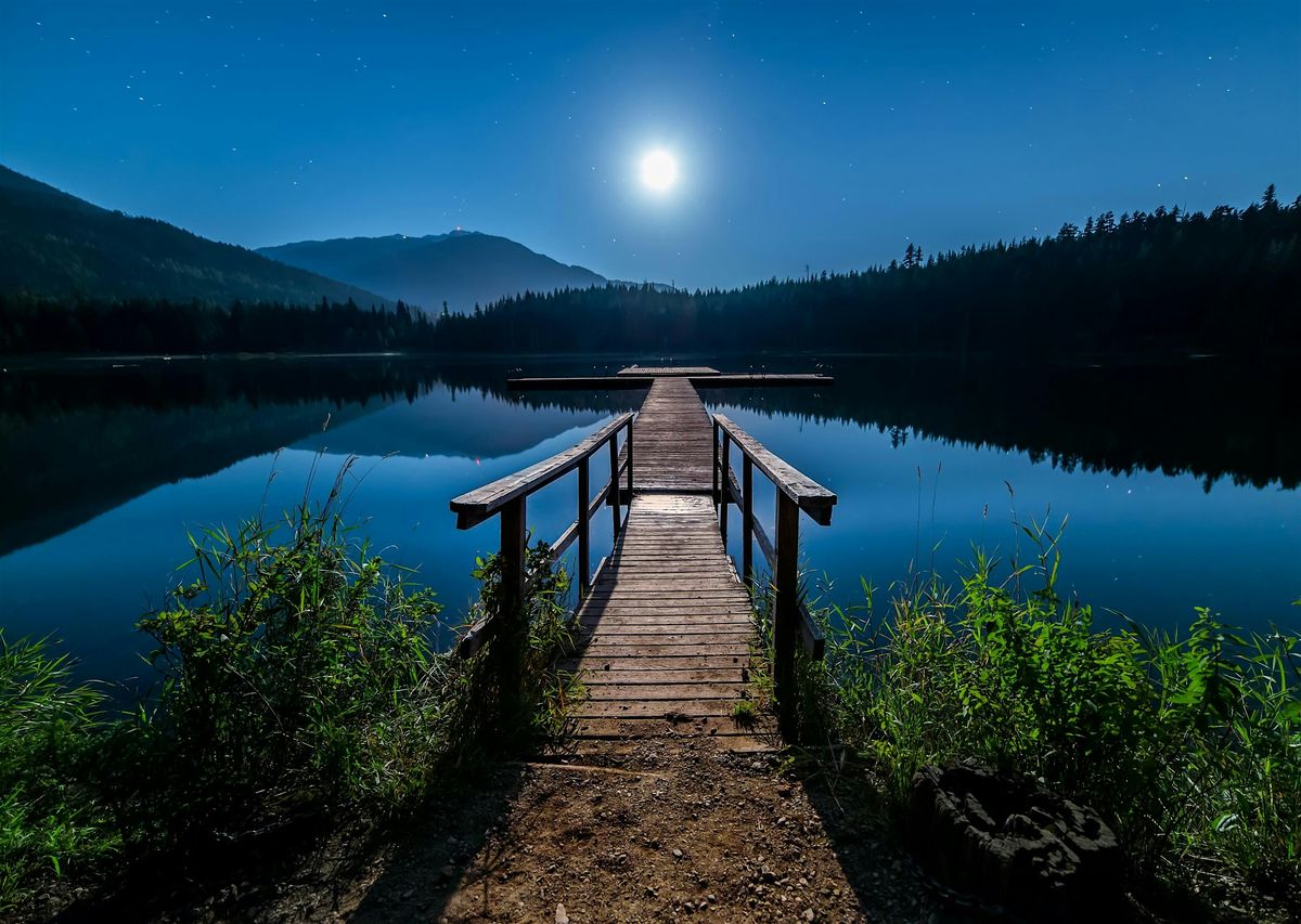 Meditation for Self-Regulation: Cultivating  Ease with  Stephanie Lopez