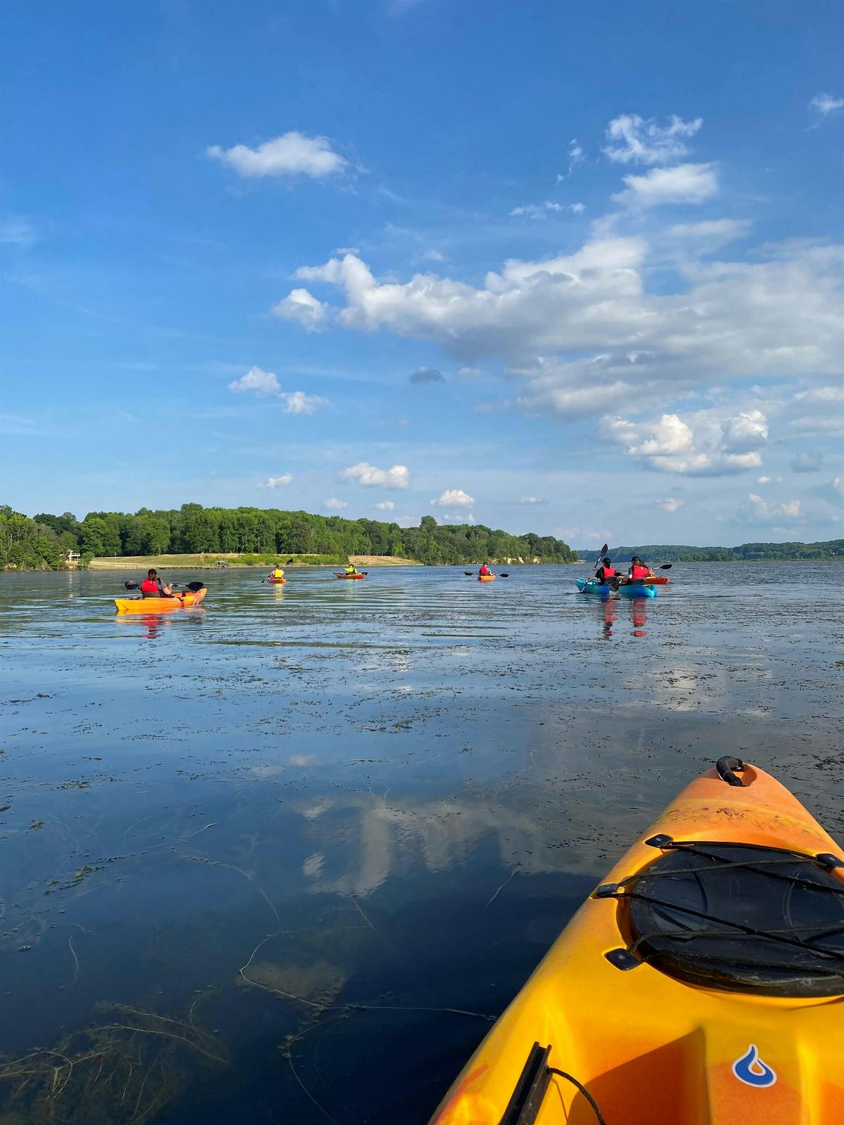 Clean the Bay Day - Kayak Cleanup