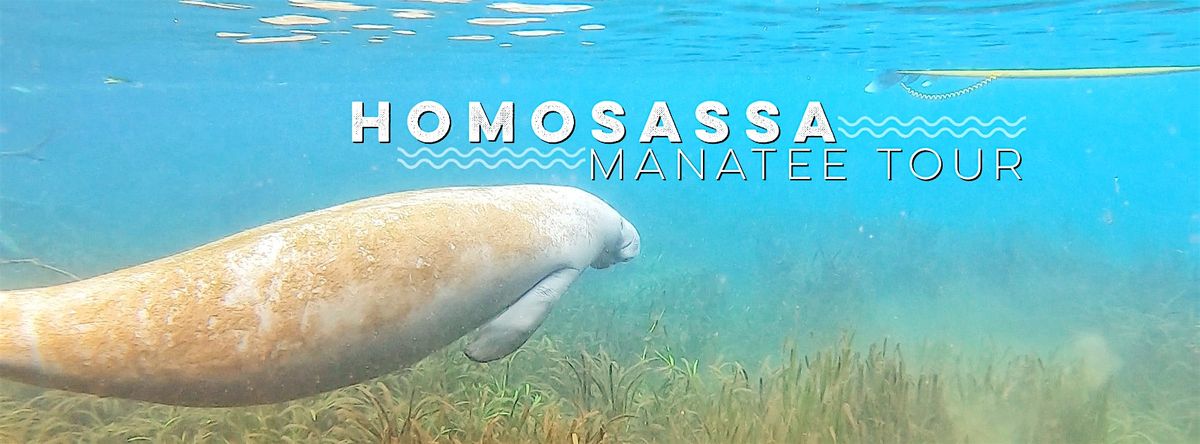 Homosassa Manatee Paddle Tour