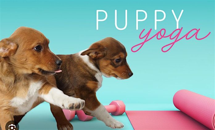 Hapa's Puppy Yoga! (ages 14+)