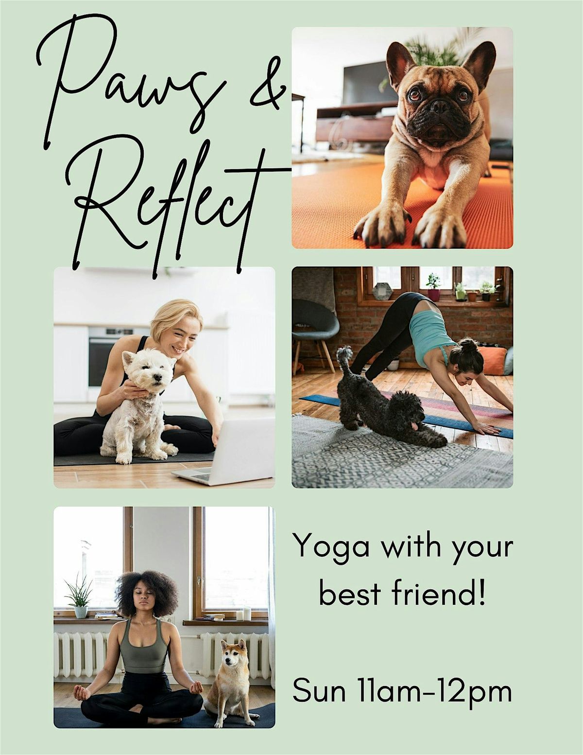 Paws & Reflect- Dog Yoga