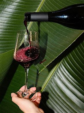 Rooftop Wine Tasting -