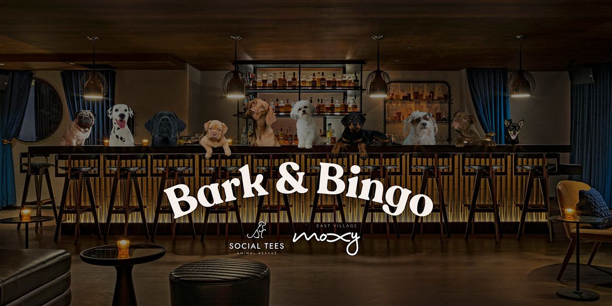 Bark & Bingo! Support Dogs in Need with Social Tees Animal Rescue