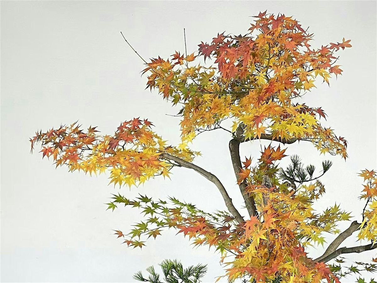 \u79cb\u97fb To Autumn\uff5cJapanese Ikebana Flower Exhibition in New York