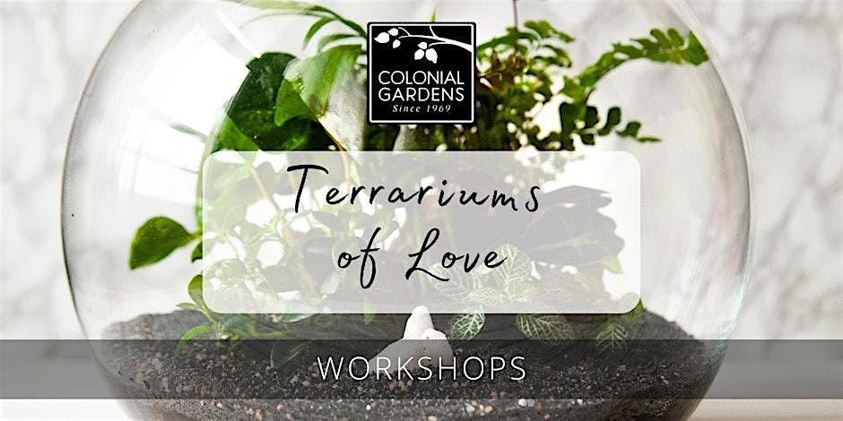 Terrariums of Love at Colonial Gardens