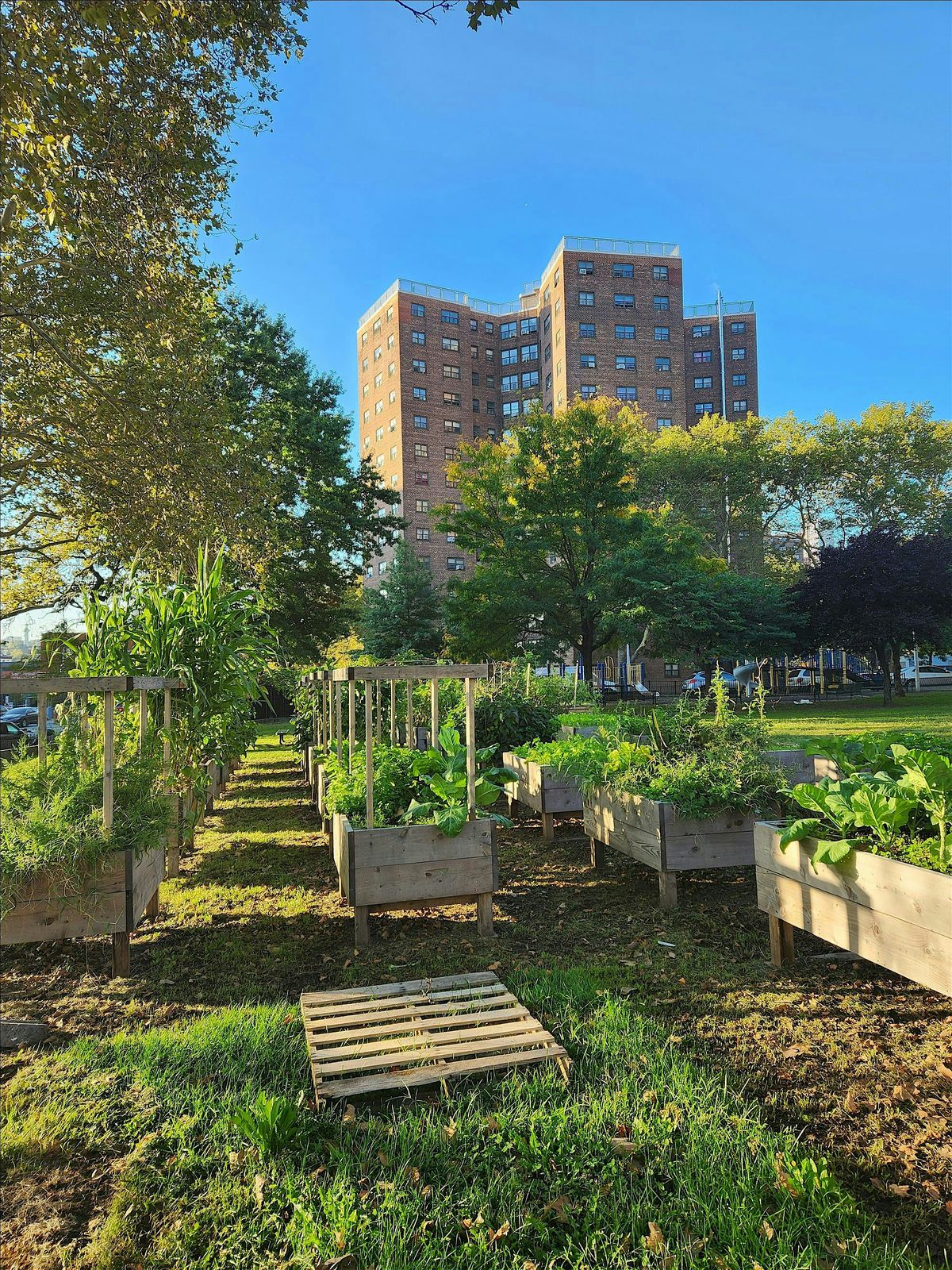 NYCHA Farms & Gardens Summit 2025