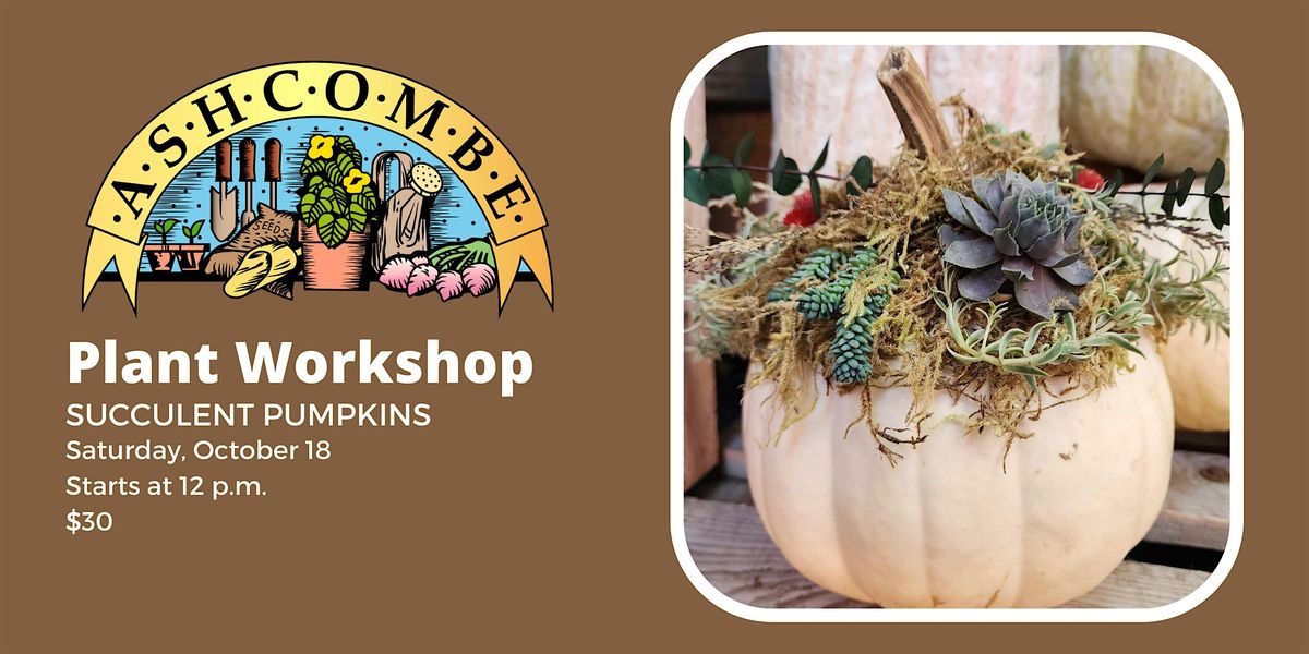 Succulent Pumpkins