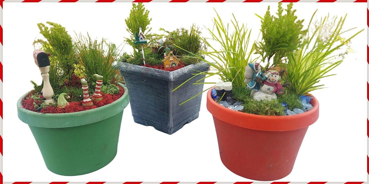 Planting Holiday Mini Gardens!