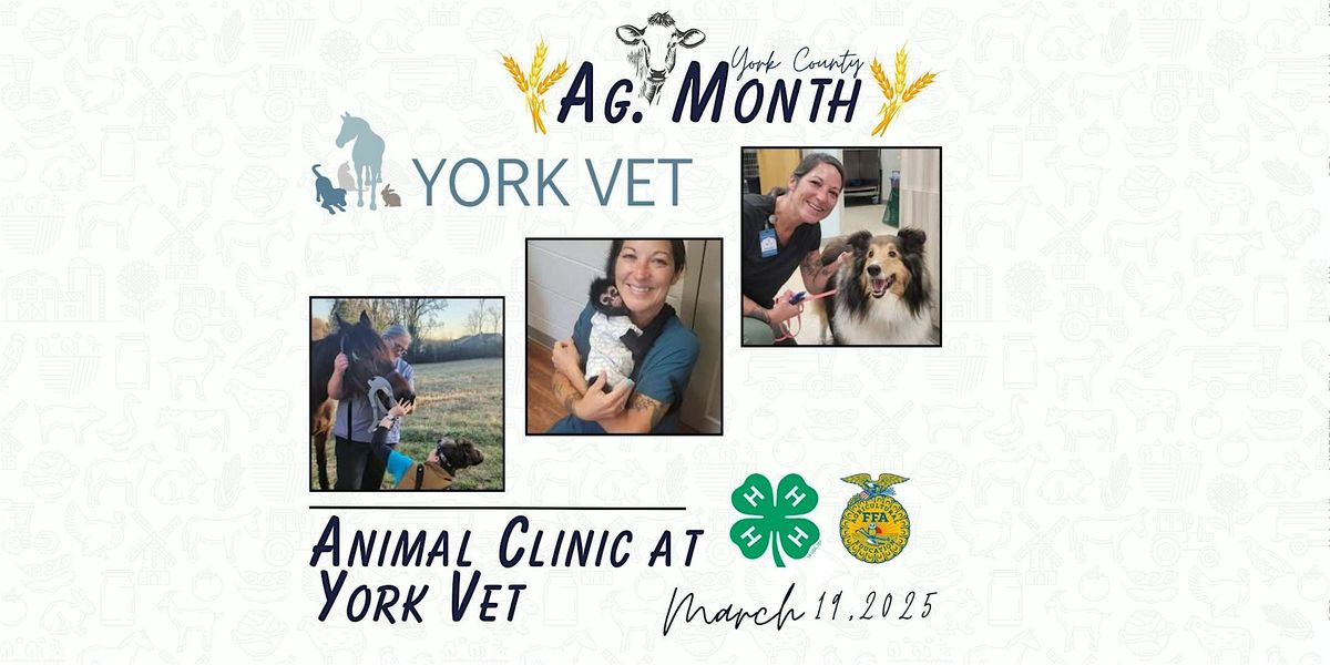 2025 York County 4-H Visit with York Vet