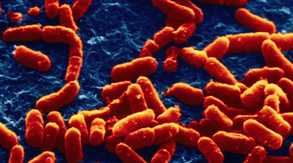 Antimicrobial Resistance \u2013 How do we beat the silent pandemic?