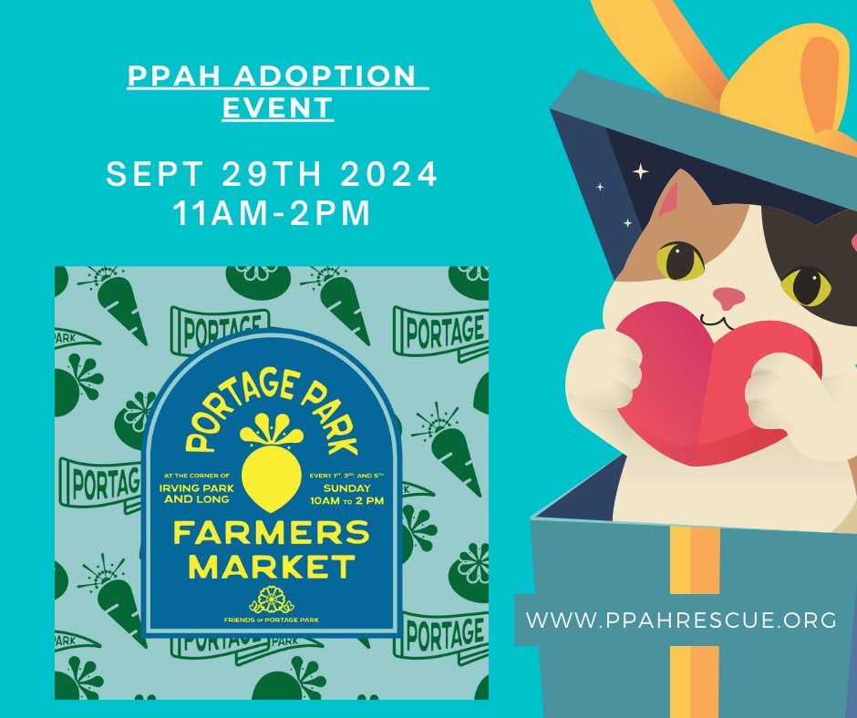 Adoption Event at Portage Park Farmer's Market