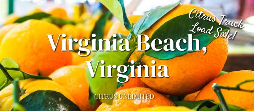 Citrus Sale - Virginia Beach, VA from 9:00 - 10:15 am at Kempsville Cons. Synagogue