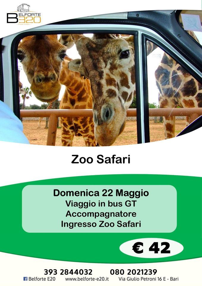 prezzo zoo safari bari