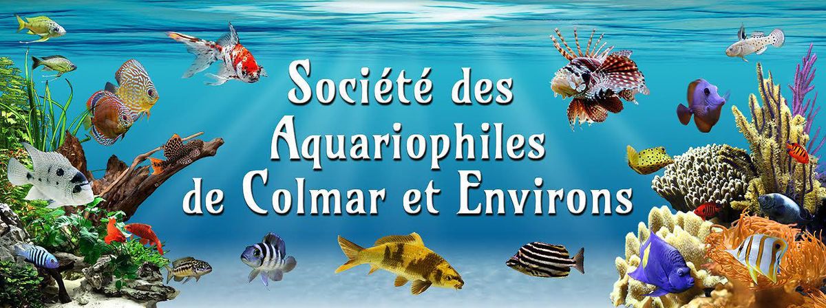 Bourse aquariophile de la SACE (68)