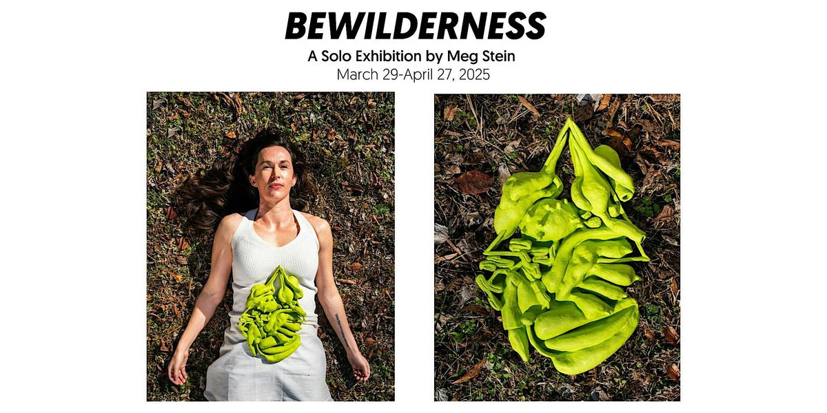 BEWILDERNESS Open Hours for April 12