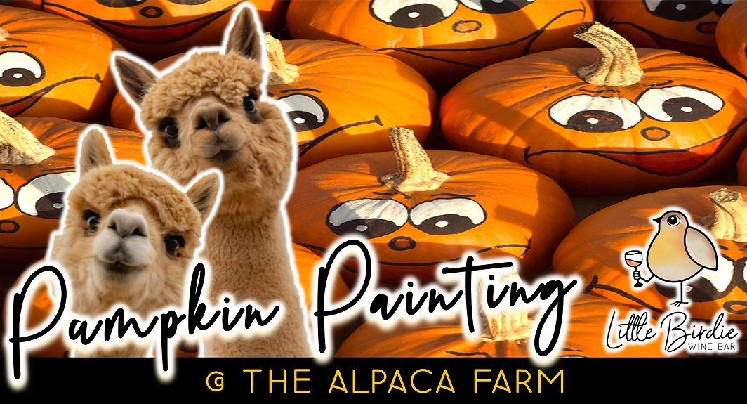 Pumpkin Painting @ The Alpaca Farm