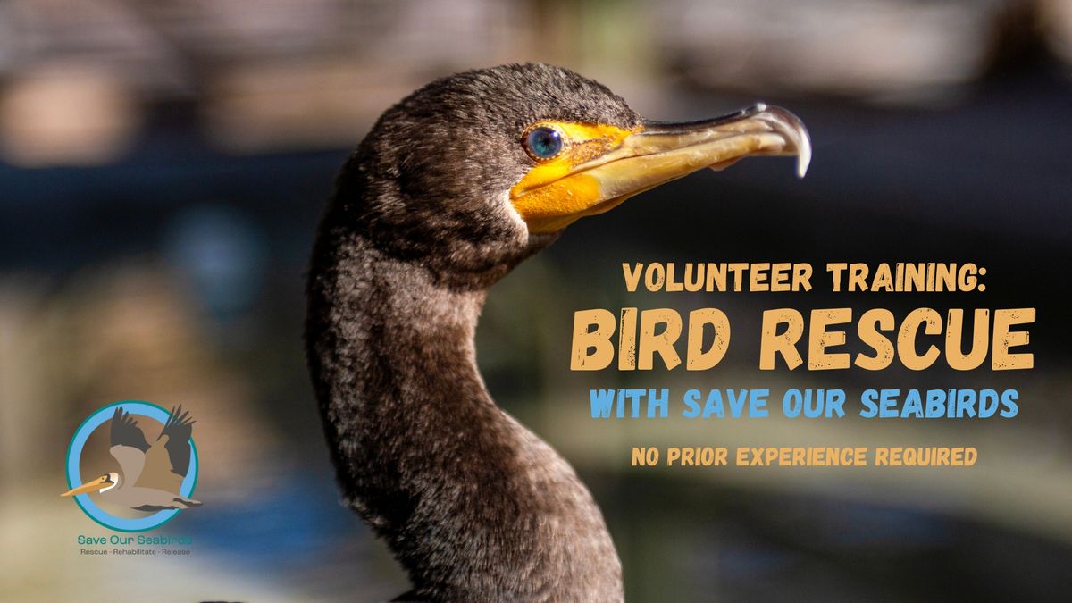 Bird Rescue Training - Become a Volunteer!