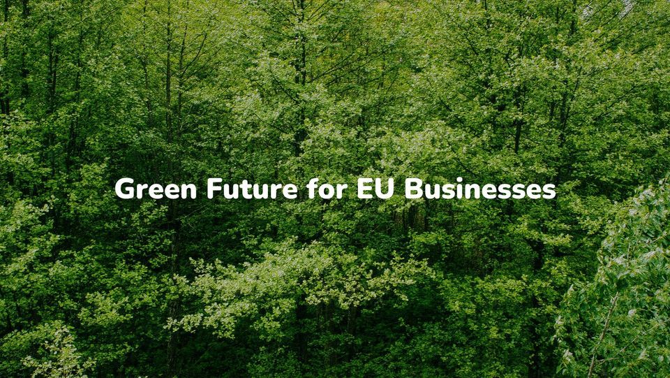 Green future for EU businesses: how to step up your game