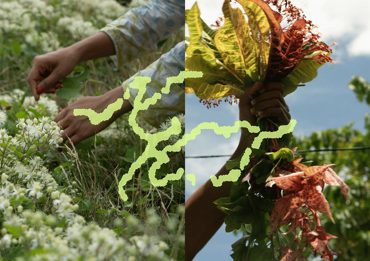 Opening Celebration - Nature KwenTour: exploring island-urban dialogues